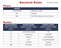 Baccarat Terms and Definitions: The Complete Table Glossary for Players